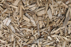 biomass boilers Minera