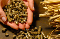 free Minera biomass boiler quotes